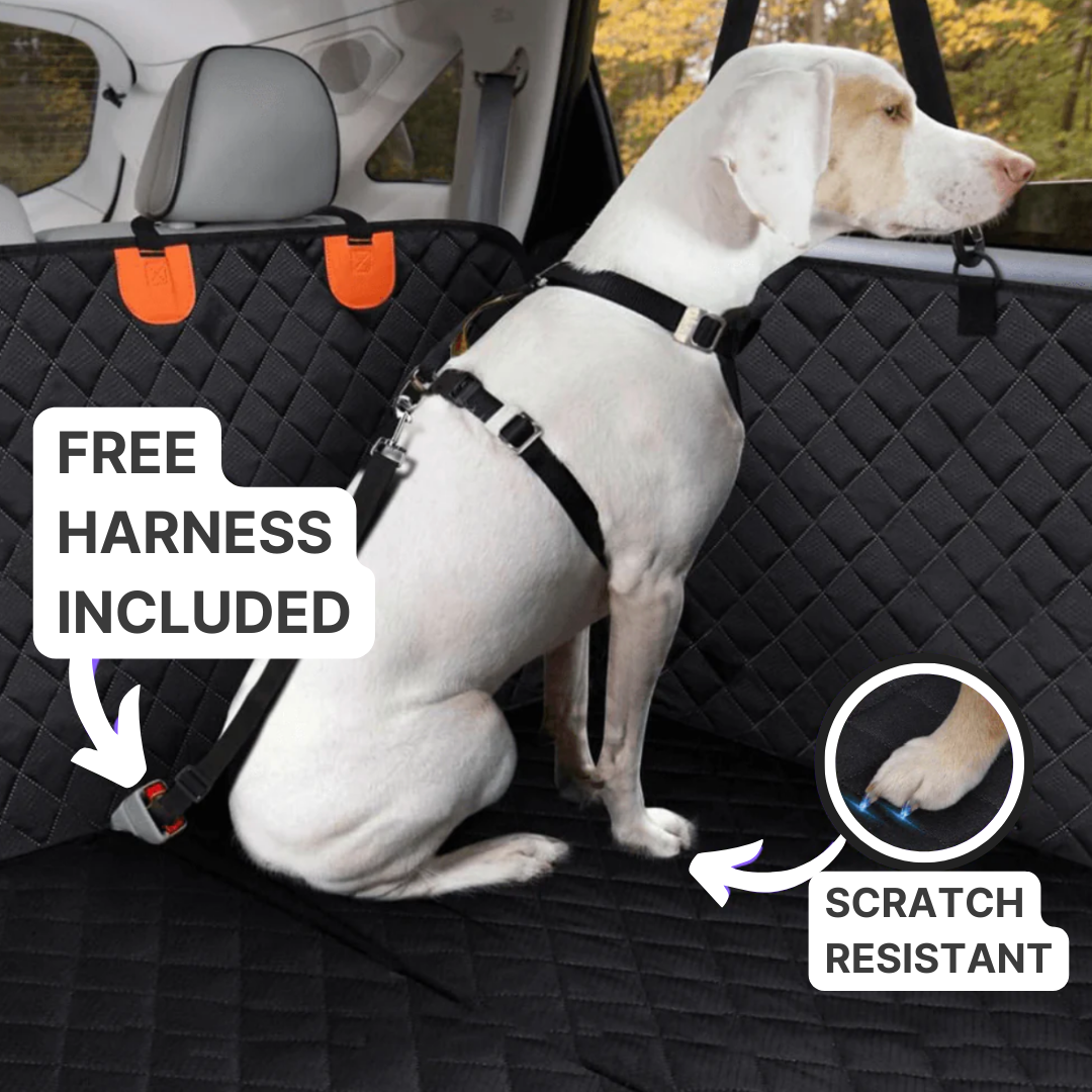 CAR SEAT EXTENDER FOR DOGS