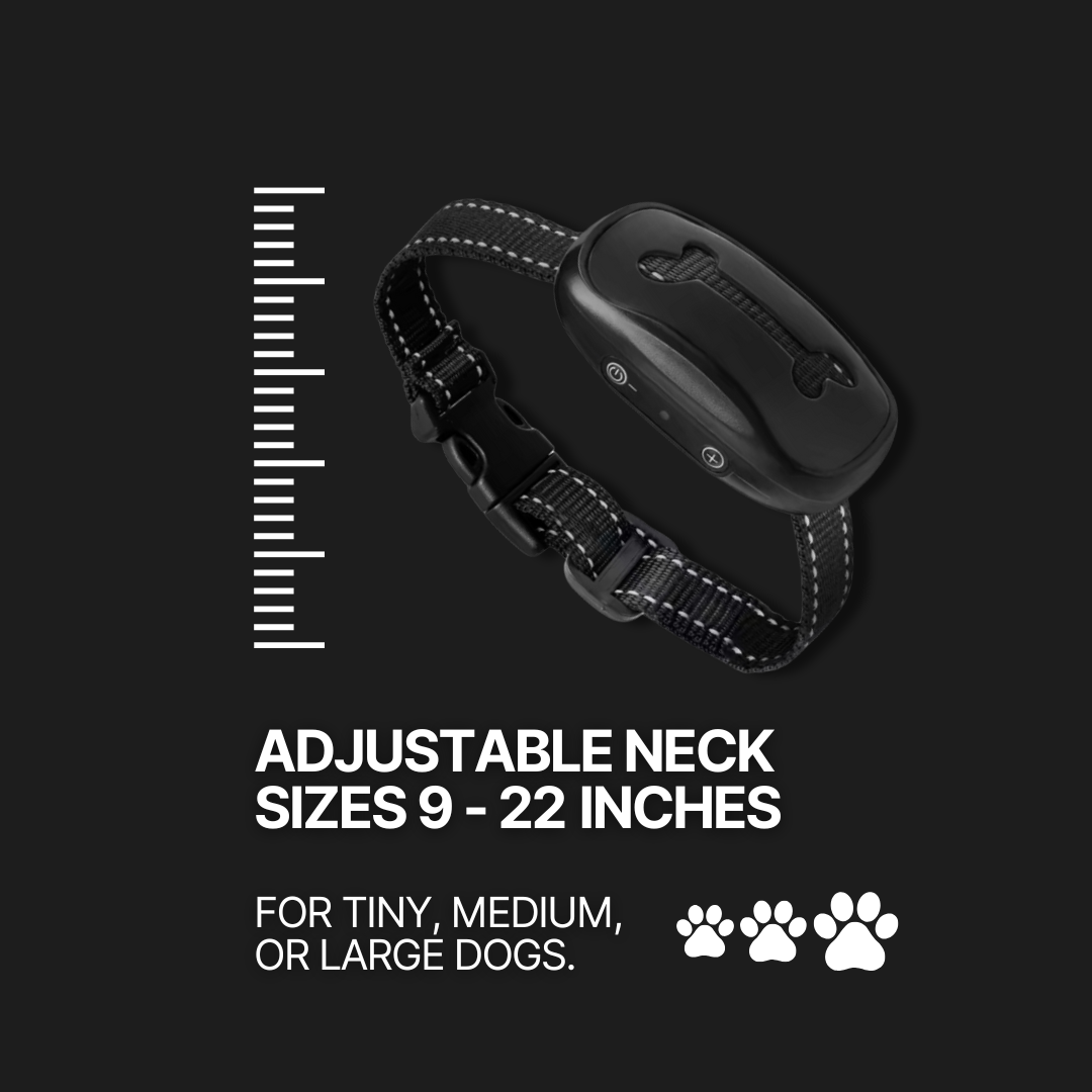 NO SHOCK ANTI-BARK COLLAR